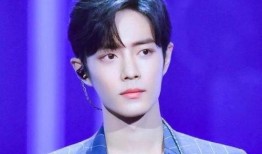 肖战爆料小生粉丝视频,揭秘背后真相